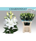 Lys or du Chardonnay
