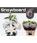 Lys or Snowborard 85 cm