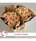 Rose Stanley Abbey 40 cm