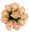 Rose Lady Cava 60 cm