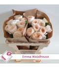 Rose Emma Woodhouse 60 cm