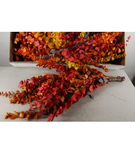 Eucalyptus Stuart autumn 150g/65 cm