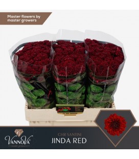 Santini Jinda Red 