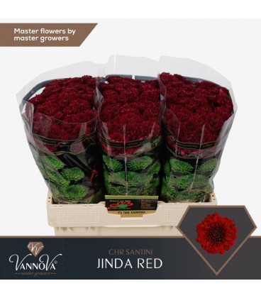 Santini Jinda Red 