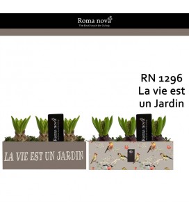 Compo jardiniere Beige bois x3 jaci