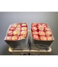 Rose Sweetness 50 cm x 25