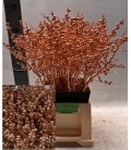 Ilex teinté 60 cm