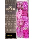 Vanda Mix x5