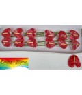 Anthurium Arena x12
