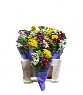 Santini mix dans la botte 