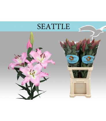 Lys Ot Seattle 110 cm