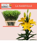 Lys Nashville 95 cm