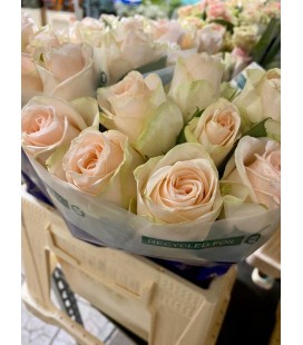 Rose Wedding Rose 40 cm