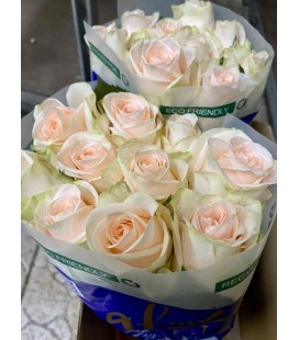 Rose Wedding Rose 60 cm