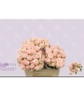 Rose Branchue Bombastic 35 cm