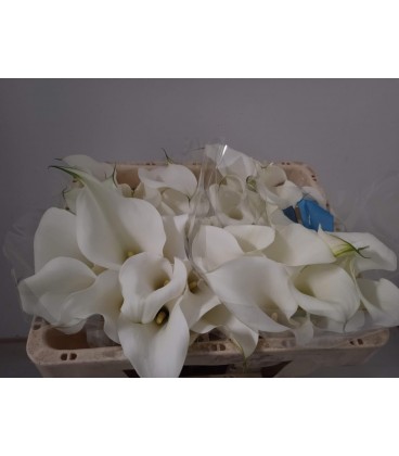 Calla Ivory art 50 cm