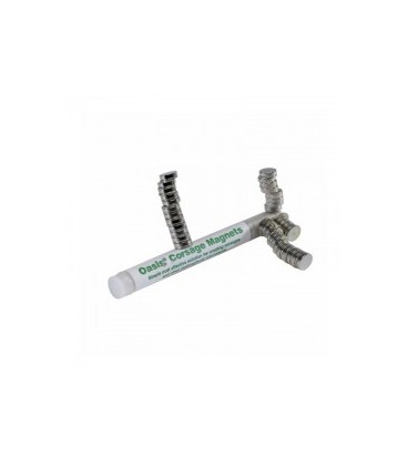 Aimant Corsage boite de 50 pieces