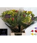 Freesia double mix 