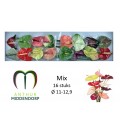 Anthurium Mix par 16 diam 11 cm