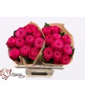 Rose Just more 40 cm