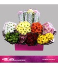 Chrysantheme Mix dans botte 70 cm