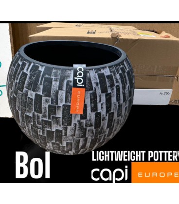 Cache pot capi Gris Ø 10