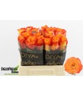 Rose Diyas fire 40 cm