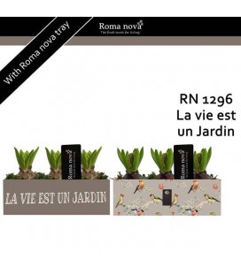 Compo  La vie et un jardin