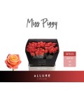 Rose Miss Peggy 60 cm