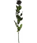 Rose Stab Ø 4.5/6  h 55cm Noir