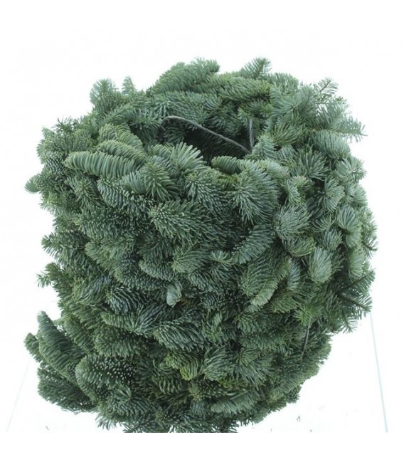 Couronne Nobilis 40 cm