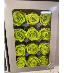 Rose Stab Mini 12 tetes Vert Anis