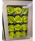 Rose Stab Mini 12 tetes Vert Anis