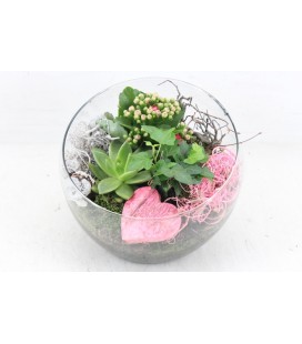 Compo Coupe ronde en verre rose