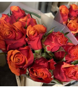 Rose Espana 35 cm x 10