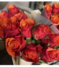 Rose Espana 35 cm x 10