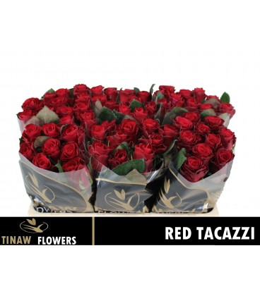Rose Red Tacazzi 50 cm