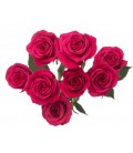 Rose Branchue Pink Yoyo 60 cm