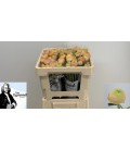 Renoncule Azur Champagne