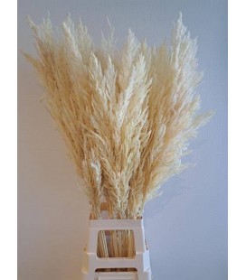 Pampa OV 90 cm 