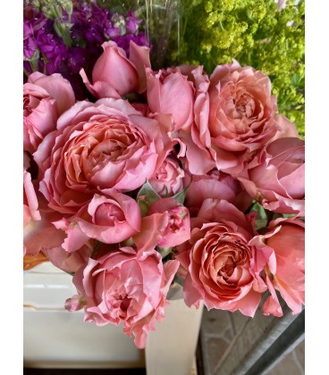 Rose Branchue Julietta 70 cm