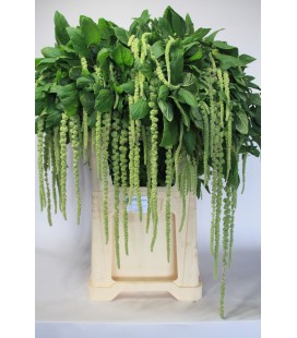 Amaranthe Green Cord 75 cm