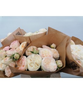 Rose Branchue Grandma Romy 40 cm