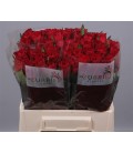 Rose Madame Red 40  cm