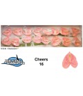 Anthurium A Cheers x 16