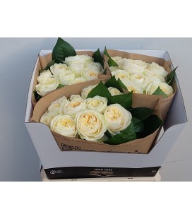 Rose Wedding Chapel 60 cm