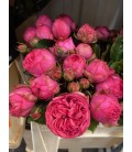 Rose Branchue Pin Piano Freil 35 cm