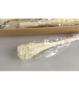Linium blanc Bs 100g
