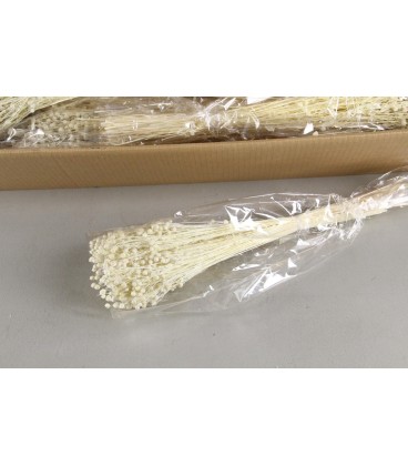 Linium blanc Bs 100g