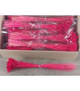 Phalaris Erica bs 100g